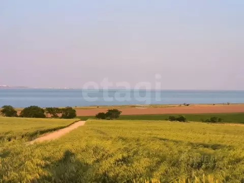 Участок в Крым, Ленинский район, с. Приозерное ул. Тернопольская (4.0 ...