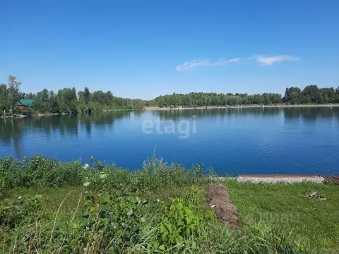 Участок в Алтайский край, Бийский район, Чуйский СНТ ул. Береговая ...