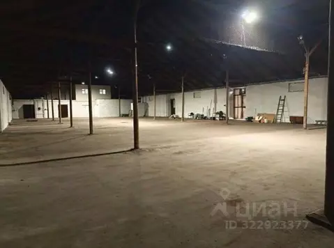 Склад в Санкт-Петербург Московская Застава муниципальный округ,  (2019 ...