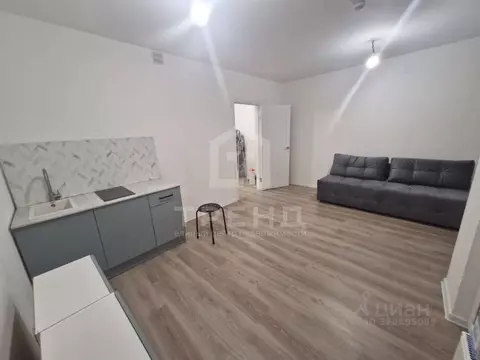 Студия Санкт-Петербург ул. Чарушинская, 32 (28.5 м)