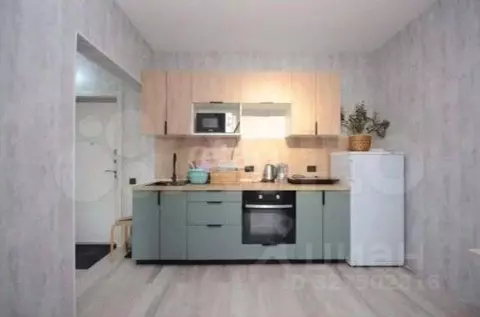 1-к кв. Новосибирская область, Новосибирск ул. Николая Островского, ...