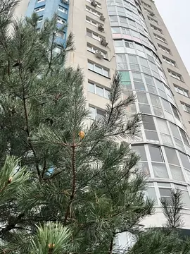 3-к кв. Ярославская область, Ярославль Московский просп., 163к2 (99.2 ...