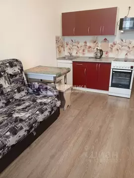 Студия Московская область, Ногинск Богородский городской округ, ул. ...