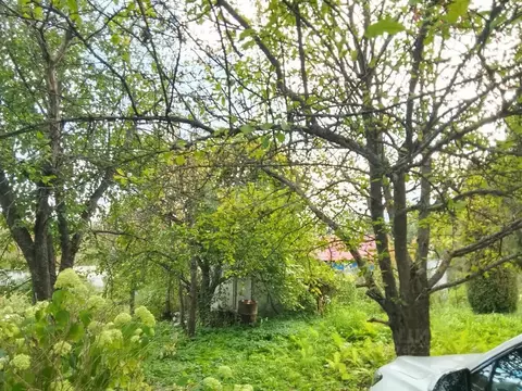 Участок в Калужская область, Перемышльский район, Большие Козлы с/пос, ...