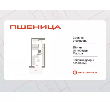 Квартира-студия: Новосибирский район, рабочий посёлок Краснообск, 3-й ...