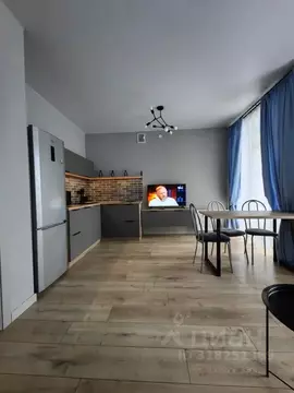 Студия Пермский край, Пермь ул. Борцов Революции, 1А (30.0 м)