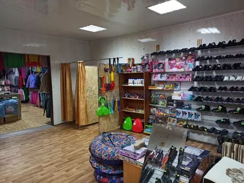 Помещение свободного назначения в Нижегородская область, с. Гагино ул. ...