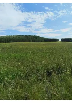 Участок в Свердловская область, Байкаловский район, Краснополянское ...
