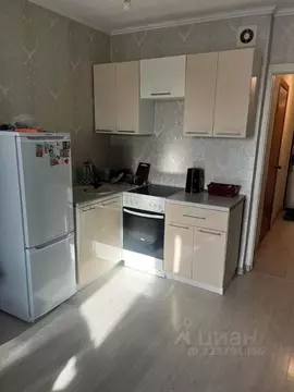 Студия Красноярский край, Красноярск Лесопарковая ул., 25 (25.0 м)