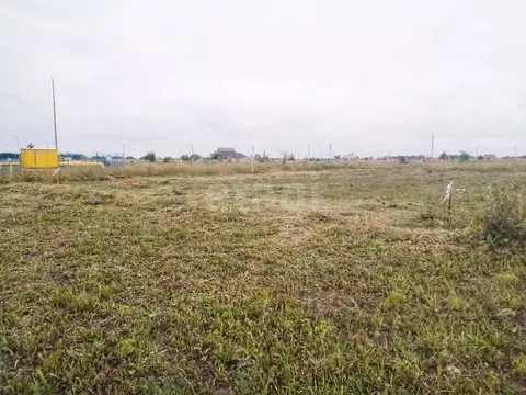 Участок в Тамбовская область, Тамбов ул. Араповская (8.2 сот.)