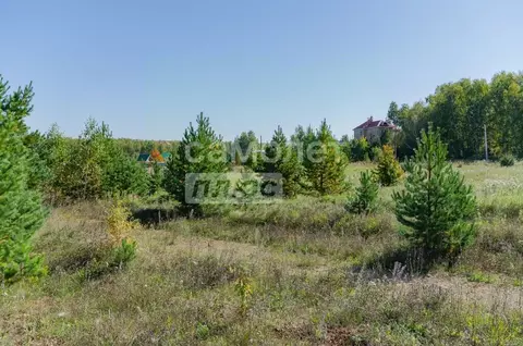 Участок в Челябинская область, Сосновский район, Саргазинское с/пос, ...