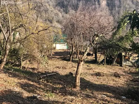 Участок в Краснодарский край, городской округ Сочи, село Прогресс, СНТ ...