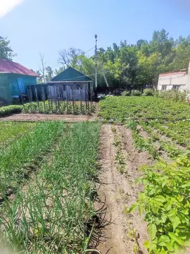 Участок в Амурская область, Благовещенск Театральная ул., 280 (5.7 ...