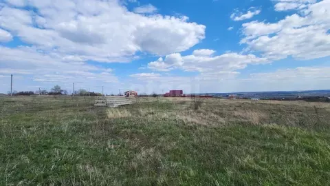 Участок в Воронежская область, Рамонский район, с. Новоживотинное ...