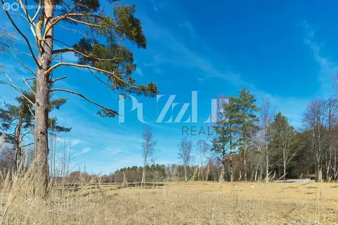 Участок в Куйвозовское сельское поселение (63 м)