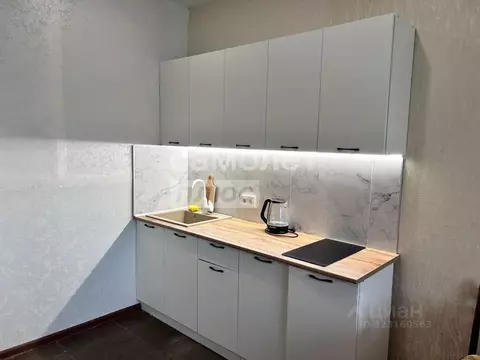 Студия Липецкая область, Липецк Сырский Рудник мкр, ул. Ударников, 24 ...