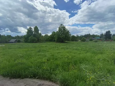 Участок в Ленинградская область, Приозерский район, Мельниковское ...