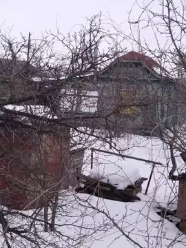 Дом в Саратовская область, Саратов проезд 3-й Виноградный, 8 (28 м)