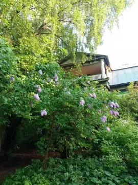 Дом в Московская область, Люберцы городской округ, Малаховка пгт ...