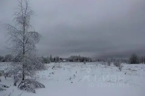 Участок в Московская область, Шаховская муниципальный округ, д. ...