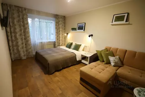 1-к кв. Челябинская область, Челябинск ул. Свободы, 145А (33.0 м)