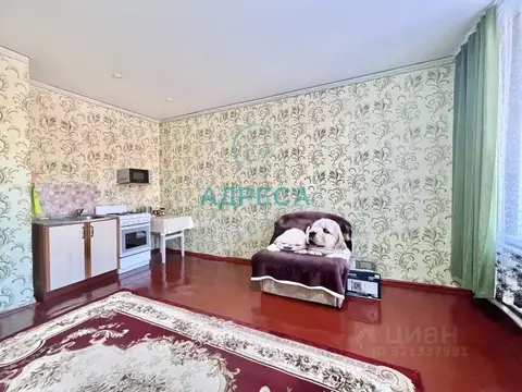 1-к кв. Белгородская область, Новый Оскол ул. Успенская, 31 (20.5 м)