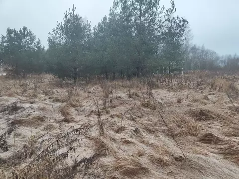 Участок в Московская область, Лотошино муниципальный округ, с. ...