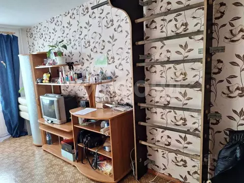 Студия Кемеровская область, Кемерово ул. Халтурина, 23 (23.0 м)