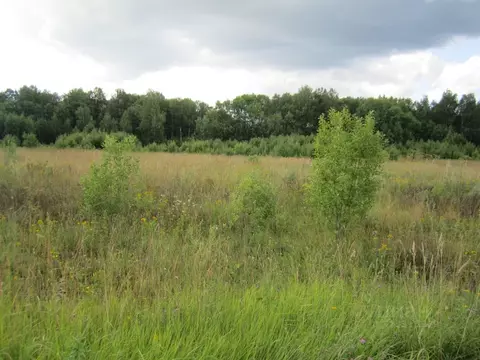 Участок в Ярославская область, Переславль-Залесский муниципальный ...