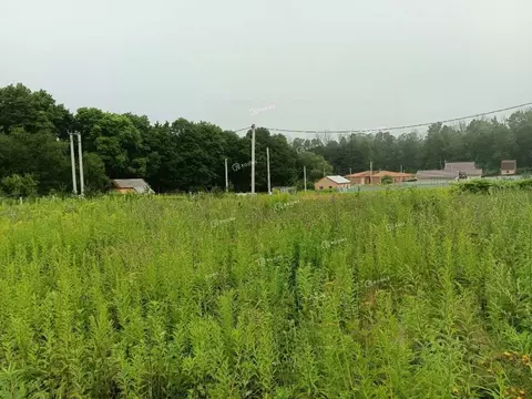 Участок в Тульская область, Тула городской округ, с. Высокое  (13.0 ...