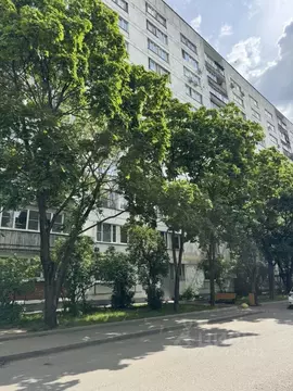 3-к кв. Москва Ферганская ул., 9К1 (60.4 м)