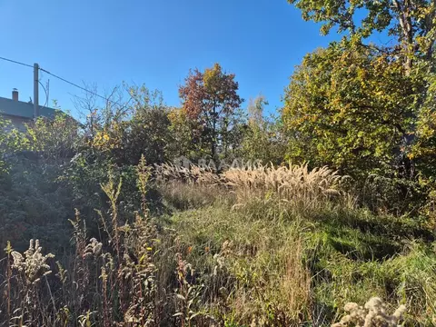 Участок в Калининградская область, Пионерский Южный СНТ, 301 (5.2 ...