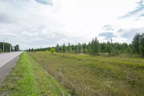 Участок в Новосибирская область, Коченево рп ул. Трактовая (10.0 сот.)