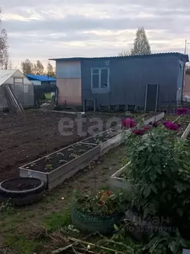 Участок в Томская область, Томский район, Богашевское с/пос, Семья СНТ ...