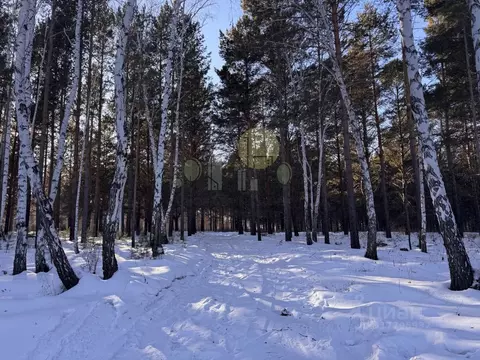 Участок в Иркутская область, Иркутский муниципальный округ, д. Карлук ...