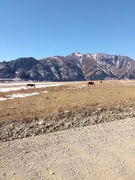 Участок в Алтай, Чемальский район, с. Куюс Центральная ул. (12.0 сот.)