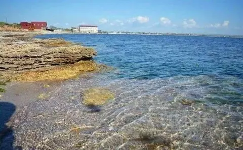 Студия Крым, Черноморский район, с. Межводное ул. Южная, 4 (24.9 м)