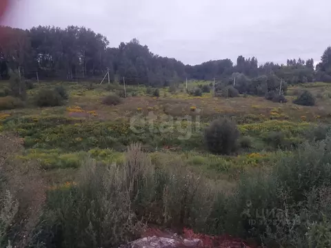 Участок в Брянская область, Брянский район, Снежское с/пос, с. ...