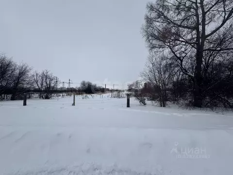 Участок в Амурская область, Свободненский район, с. Новгородка ...