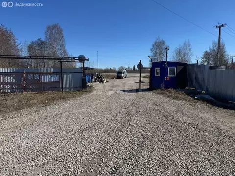 Участок в Тюмень, территория СОСН Берёзка-3, 20-я улица (6.89 м)