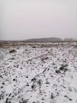 Участок в Тюменская область, Тюменский муниципальный округ, д. ...