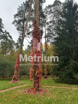 Продается участок в КП Никольская Слобода