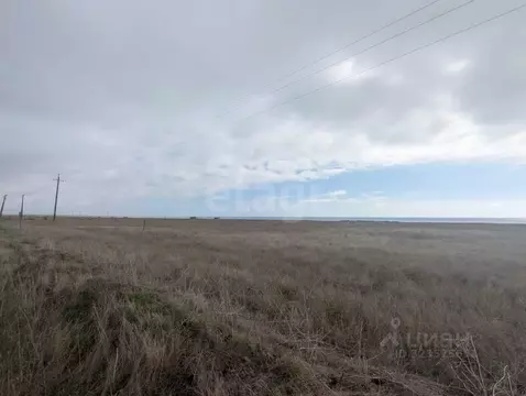 Участок в Крым, Черноморский район, Окуневское с/пос, с. Марьино  (5.0 ...