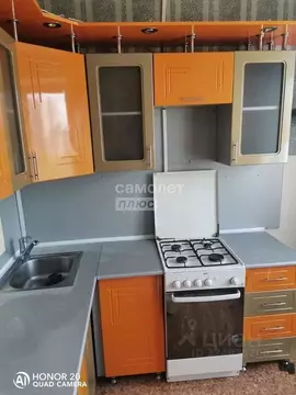 1-к кв. Липецкая область, Липецк Агрономическая ул., 17 (33.2 м)