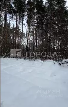 Участок в Новосибирская область, Новосибирский район, с. Барышево  ...
