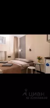 Студия Санкт-Петербург Московский просп., 152 (16.2 м)