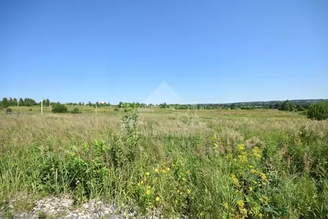 Участок в Владимирская область, Кольчугино ул. Малиновая, 6 (12.0 ...