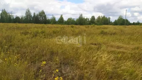 Участок в Тюменский муниципальный округ, деревня Якуши, КП Теремки (7 ...