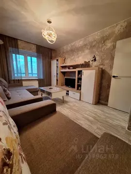 1-к кв. Псковская область, Псков Ольгинская наб., 5А (38.0 м)