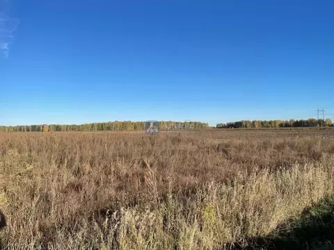 Участок в Тюменская область, Нижнетавдинский муниципальный округ, ...